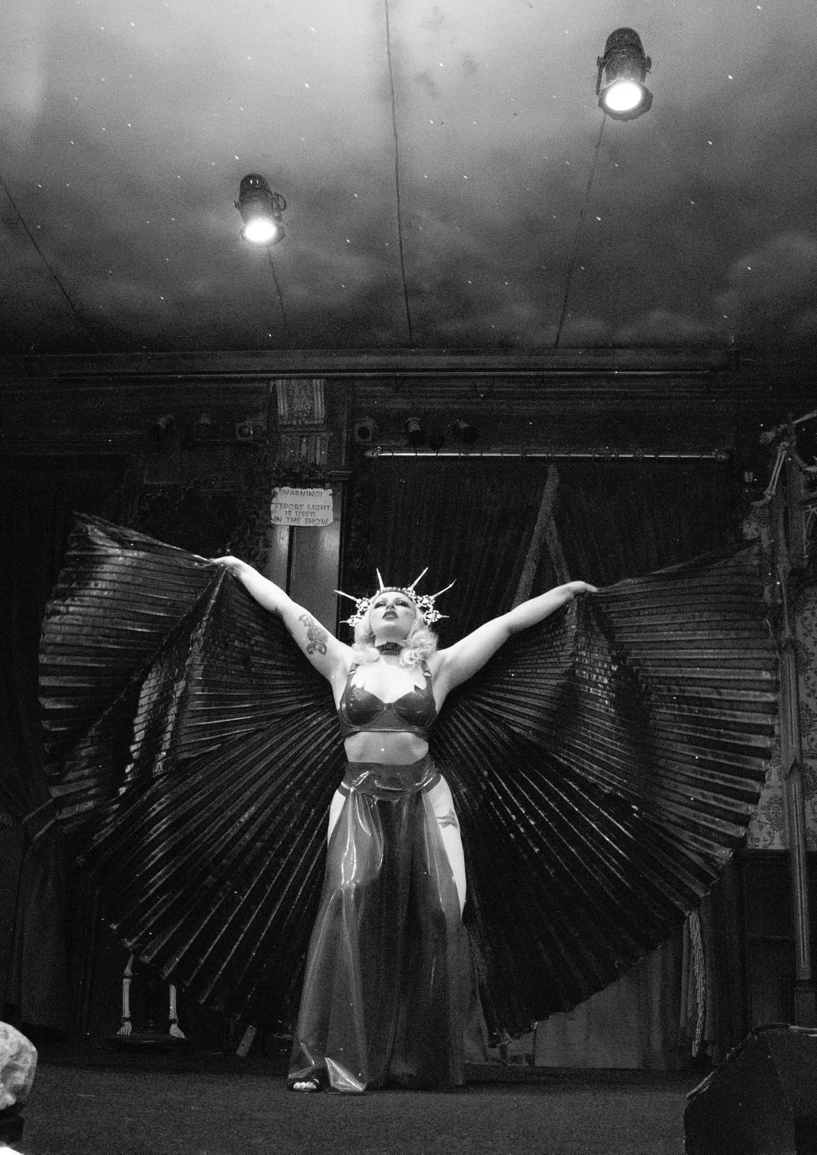 Polly Anther Unveiled
