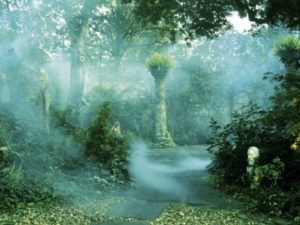 Rubber Cults Enchanted Garden